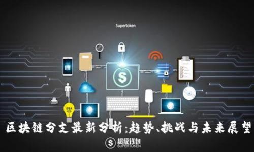 区块链分支最新分析：趋势、挑战与未来展望