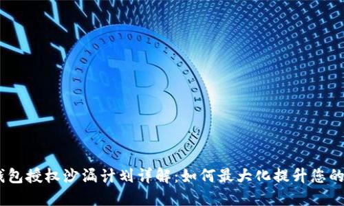 Tokenim 2.0 钱包授权沙漏计划详解：如何最大化提升您的数字资产安全性
