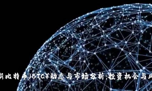 最新比特币（BTC）动态与市场分析：投资机会与风险