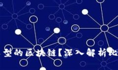 比特币属于哪种类型的区块链？深入解析比特币