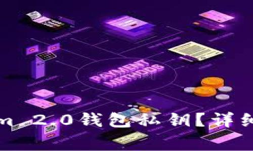 如何查看Tokenim 2.0钱包私钥？详细指南与注意事项