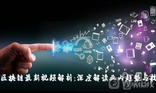 王高飞区块链最新视频解析：深度解读业内趋势与技术发展