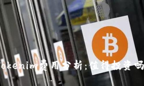 Tokenim费用分析：值得投资吗？