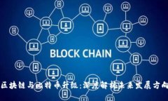 区块链与比特币升级：深度解析未来发展方向