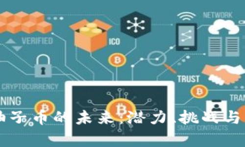 区块链柚子币的未来：潜力、挑战与机遇解析