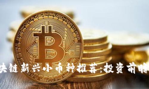 2023年区块链新兴小币种推荐:投资前瞻与市场分析