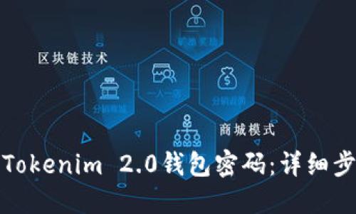 如何找回Tokenim 2.0钱包密码：详细步骤与建议
