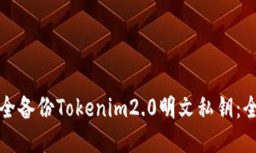 如何安全备份Tokenim2.0明文私钥：全面指南