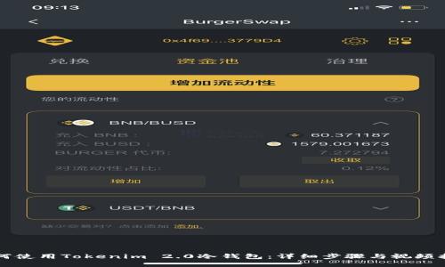 如何使用Tokenim 2.0冷钱包：详细步骤与视频指南