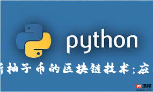 深入解析柚子币的区块链技术：应用与前景