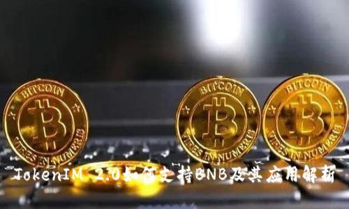 TokenIM 2.0如何支持BNB及其应用解析