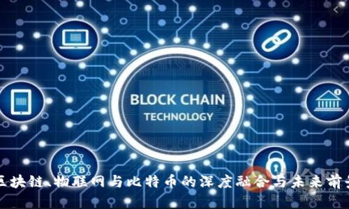 区块链、物联网与比特币的深度融合与未来前景