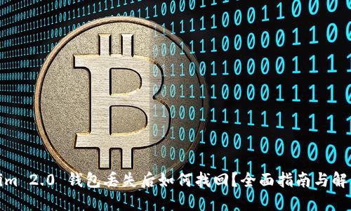 Tokenim 2.0 钱包丢失后如何找回？全面指南与解决方案