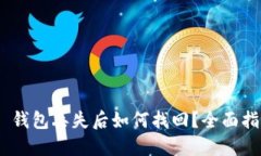 Tokenim 2.0 钱包丢失后如何找回？全面指南与解决