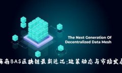 海南BAS区块链最新近况：政策动态与市场发展