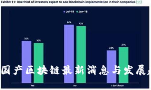 2023年国产区块链最新消息与发展趋势解析
