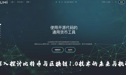 深入探讨比特币与区块链1.0技术的未来与挑战