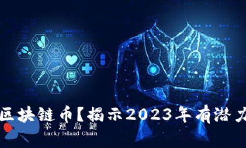 什么是区块链币？揭示2023年有潜力的币种