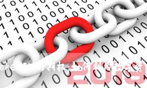 深入了解TokenIM的期权：如何利用数字资产进行投资