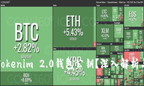 什么是Tokenim 2.0钱包公钥？深入解析与安全性