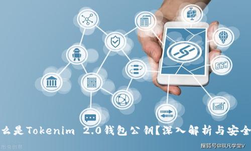 什么是Tokenim 2.0钱包公钥？深入解析与安全性