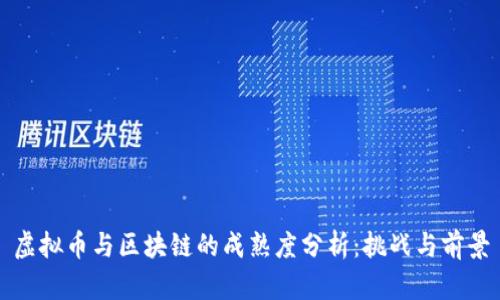 虚拟币与区块链的成熟度分析：挑战与前景