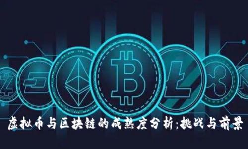 虚拟币与区块链的成熟度分析：挑战与前景