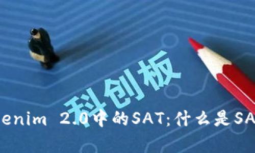 深入解析Tokenim 2.0中的SAT：什么是SAT及其重要性