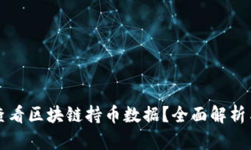 如何高效查看区块链持币数据？全面解析与实用指南