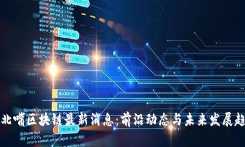 江北嘴区块链最新消息：前沿动态与未来发展趋势
