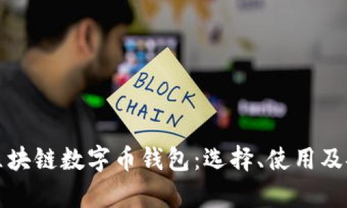 全面解析区块链数字币钱包：选择、使用及安全性指南
