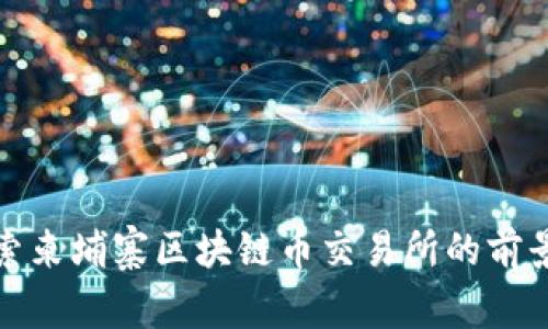 深入探索柬埔寨区块链币交易所的前景与现状