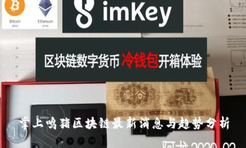 掌上鸣猪区块链最新消息与趋势分析