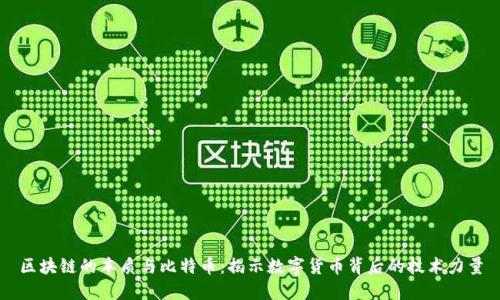 区块链的本质与比特币：揭示数字货币背后的技术力量