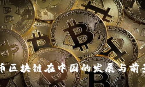雷达币区块链在中国的发展与前景分析