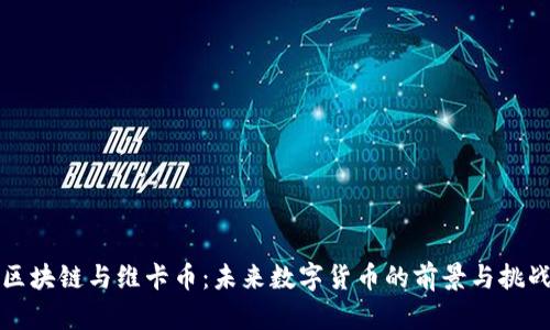 区块链与维卡币：未来数字货币的前景与挑战