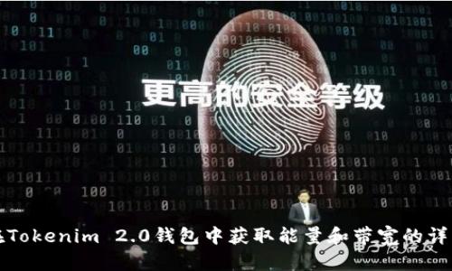 如何在Tokenim 2.0钱包中获取能量和带宽的详细指南