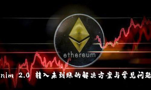 Tokenim 2.0 转入未到账的解决方案与常见问题解析