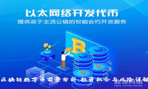 区块链数字币前景分析：投资机会与风险详解