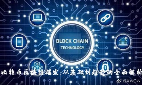 比特币区块链爆发：从基础到趋势的全面解析