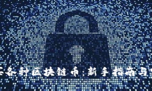 如何购买各种区块链币：新手指南与实用技巧