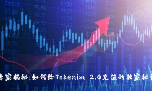 专家揭秘：如何给Tokenim 2.0充值的独家秘诀