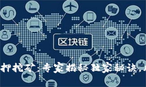 TokenIM 2.0 质押挖矿：专家揭秘独家秘诀，风险与收益全解析