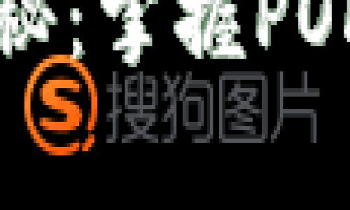 区块链专家独家揭秘：掌握POK虚拟币投资的秘诀