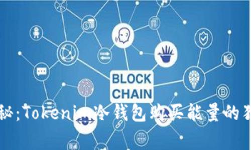 专家揭秘：Tokenim冷钱包购买能量的独家秘诀