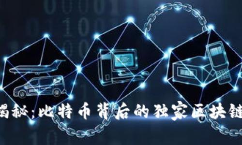 专家揭秘：比特币背后的独家区块链秘诀！