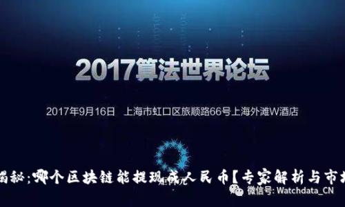 独家揭秘：哪个区块链能提现成人民币？专家解析与市场动态