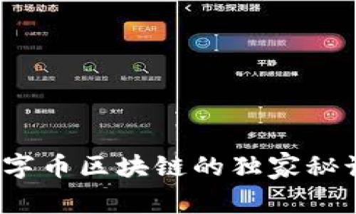 专家揭秘：十字币区块链的独家秘诀与未来发展