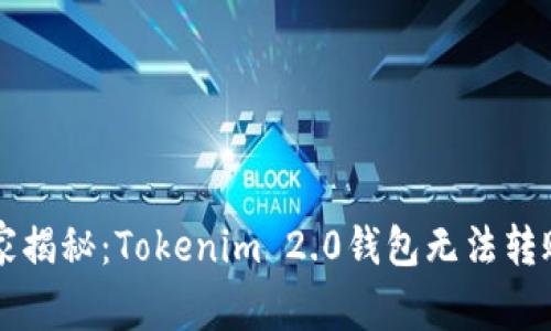 专家独家揭秘：Tokenim 2.0钱包无法转账的秘诀