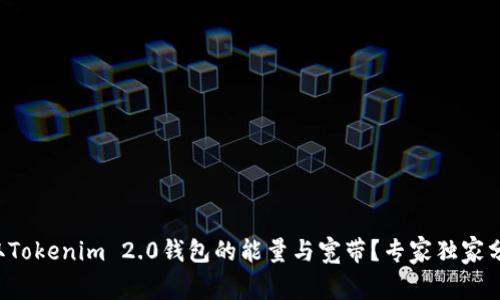 如何获取Tokenim 2.0钱包的能量与宽带？专家独家分享秘诀！